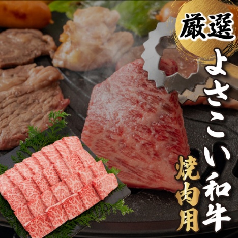 えちぜん町 山重食肉 賞品写真
